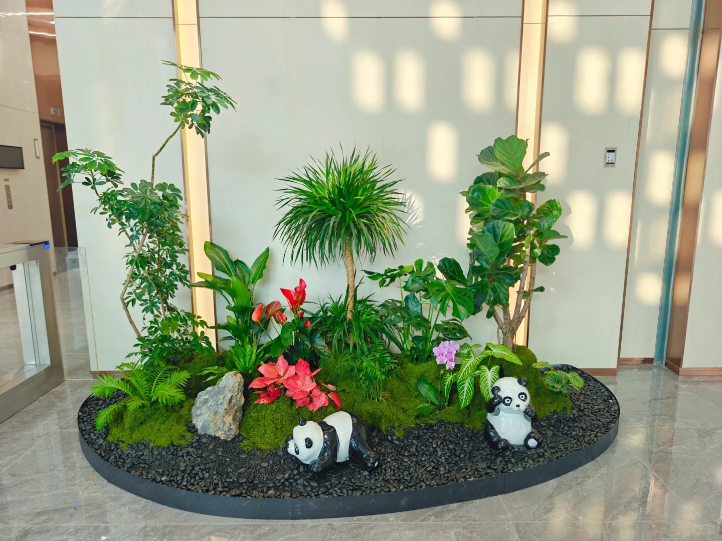 专业盆景租摆,宁波北仑的绿色之选